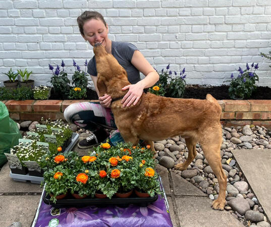 KJ Planting